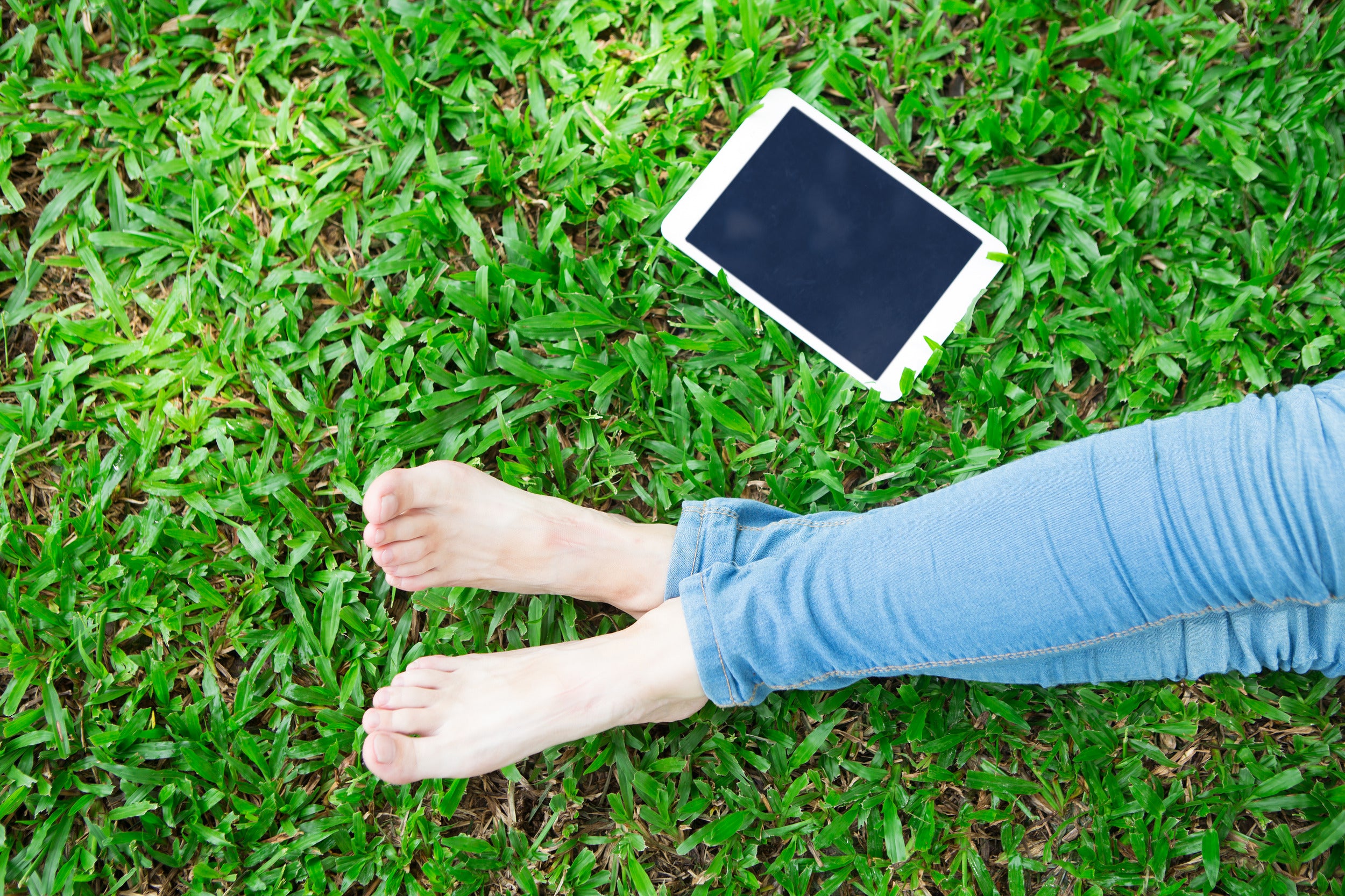 what is grounding page.jpg__PID:e9cd367c-ee30-44d9-9cbd-4c14d138d0d2